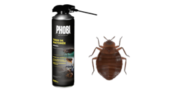 Insecticida para pulgas y chinches de cama