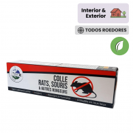 colle anti rat et souris